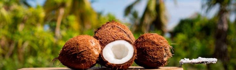 Звуки пальмы и падающего кокоса