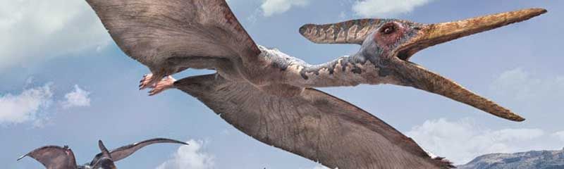 Звуки летающих динозавров